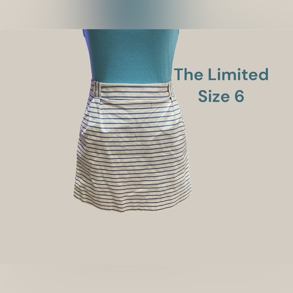 THE LIMITED BLUE AND WHITE STRIPED SKIRT IN SIZE 6 VERY GENTLY WORN - Picture 1 of 3